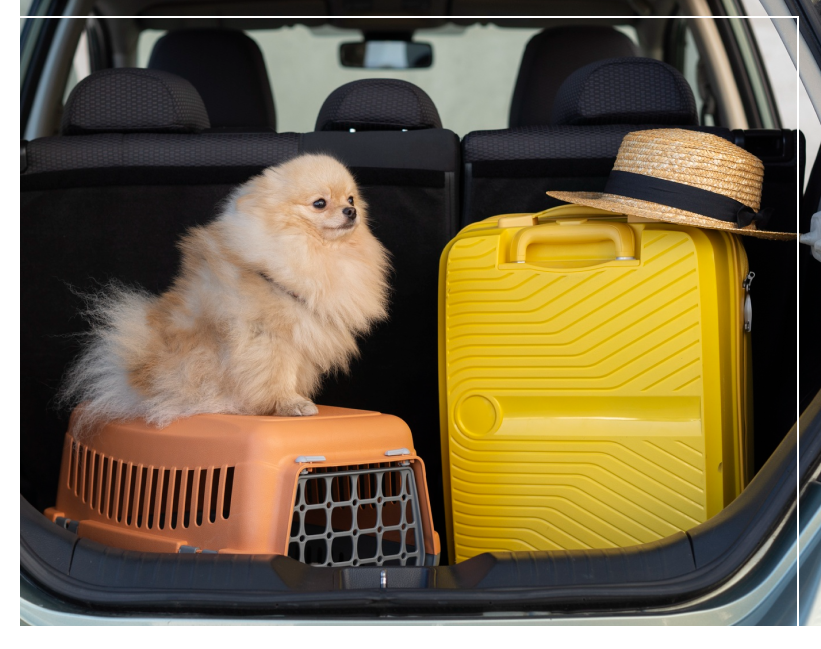 Canlife Pet Moving ERP System