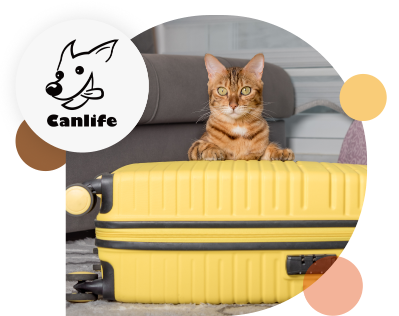 Canlife Pet Moving ERP System testimonial avatar